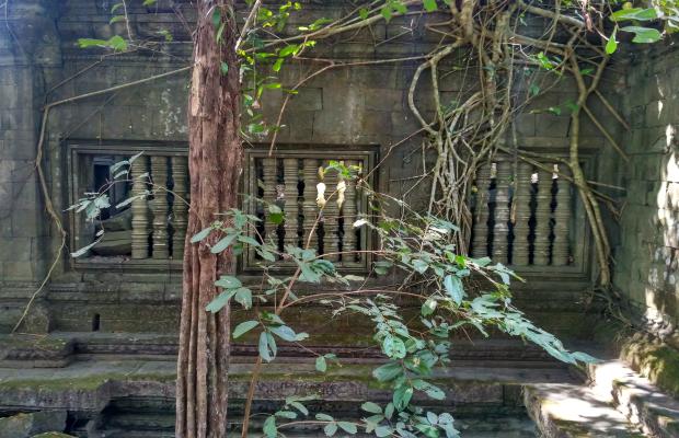 An Adventure into the Hidden Realm