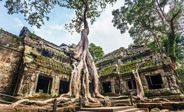 Taprohm Temple