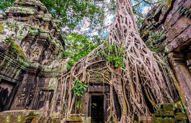 Cycling Tours- 3 days tour